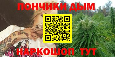 индика Мариинск