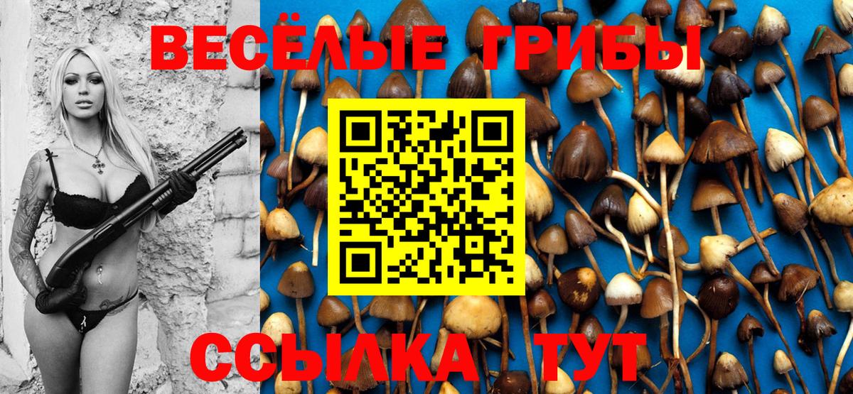 Псилоцибиновые грибы Cubensis Холмск