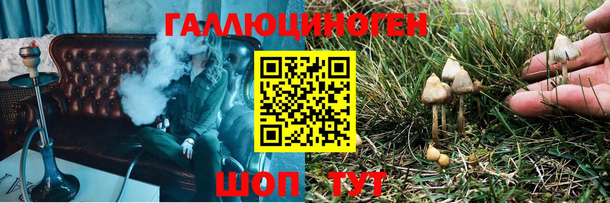 Галлюциногенные грибы Psilocybe  купить наркотик  Холмск  Вход с VPN 